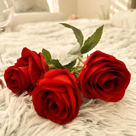 Lejlighed Vibe S32 Apartman,ac,free Parking *