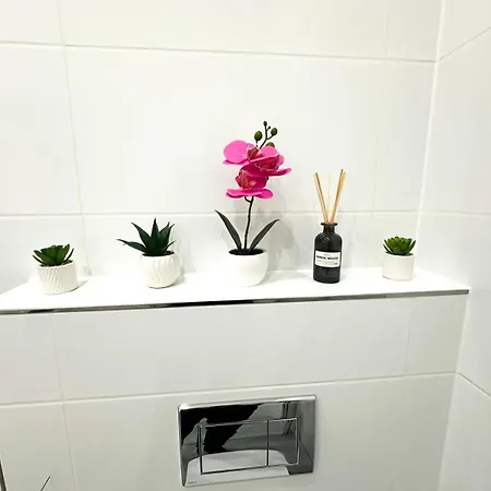 Vibe S32 Apartman
