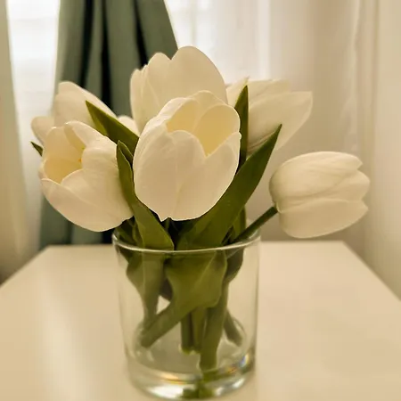 Vibe S32 Apartman,ac,free Parking * Székesfehérvár