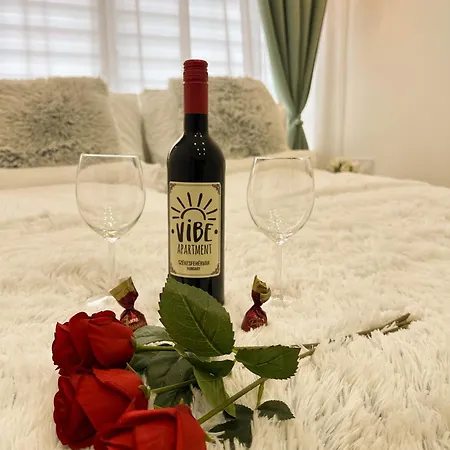 Vibe S32 Apartman,ac,free Parking * Секешфехервар