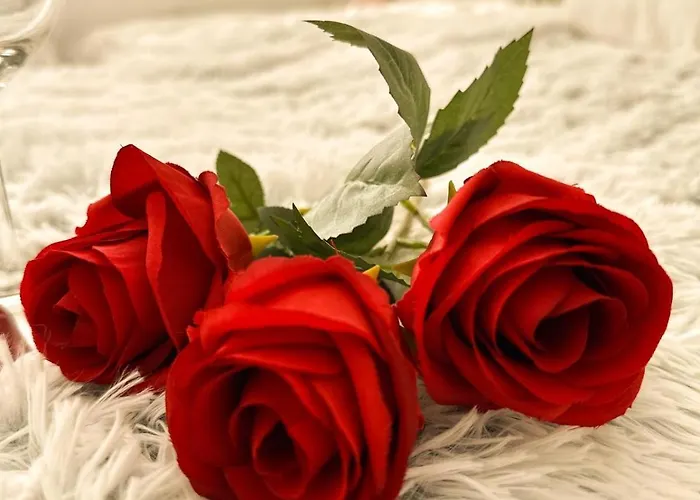 Appartement Vibe S32 Apartman,ac,free Parking *