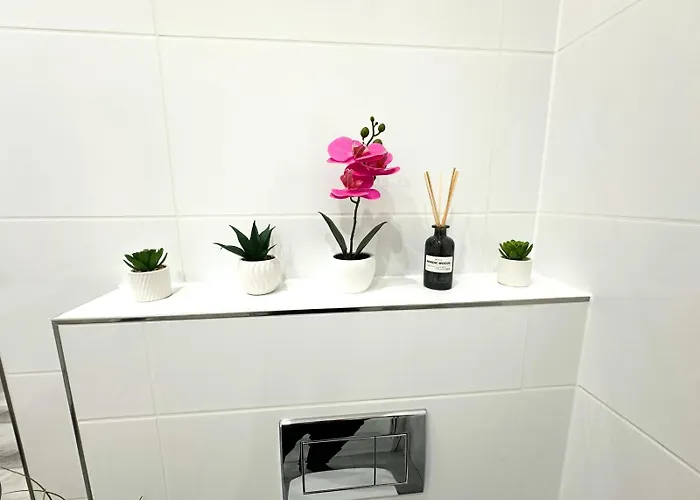 Vibe S32 Apartman,ac,free Parking