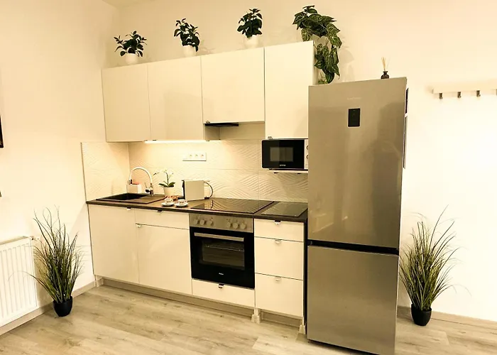 Vibe S32 Apartman,ac,free Parking Appartement
